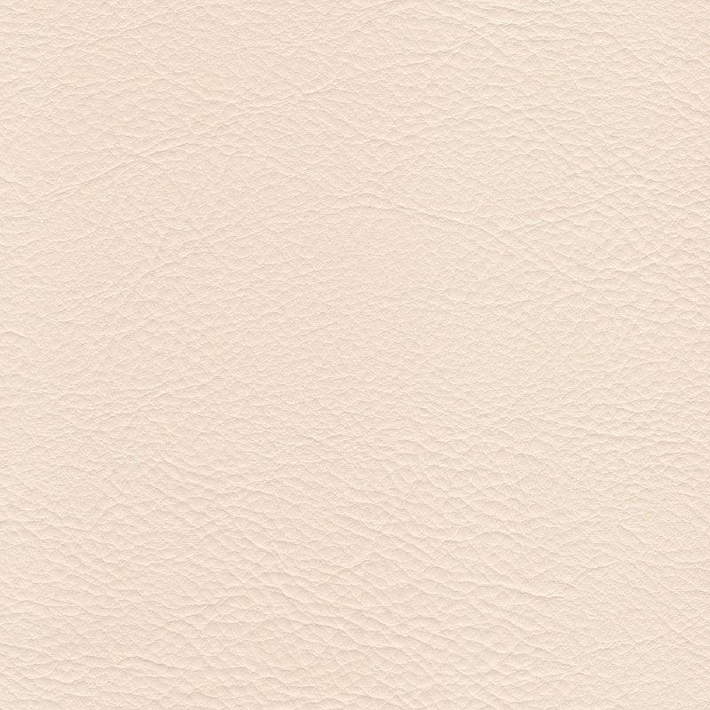 C330�١�����