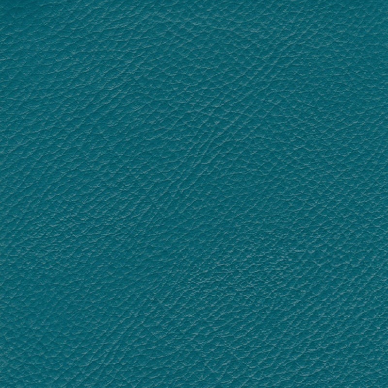 C690 �֥롼���꡼��