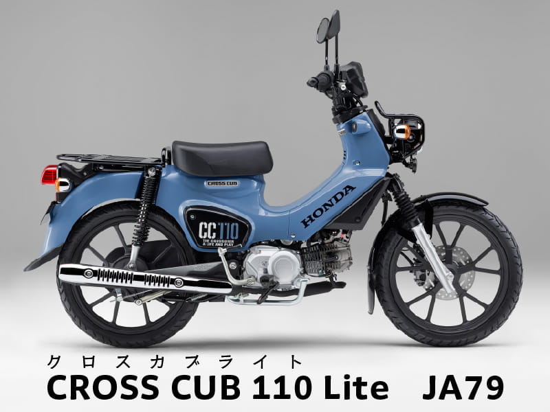 ����������110 Lite JA79
