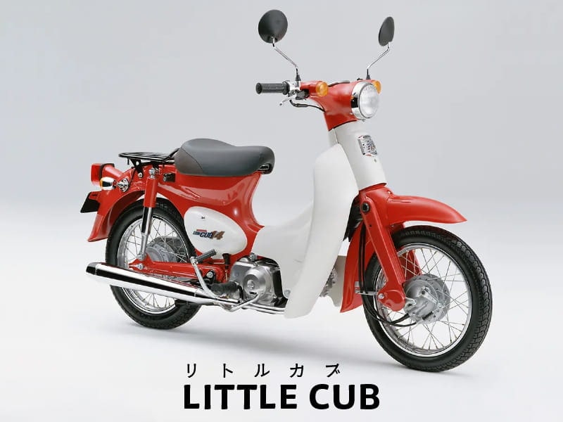 LITTLE CUB
