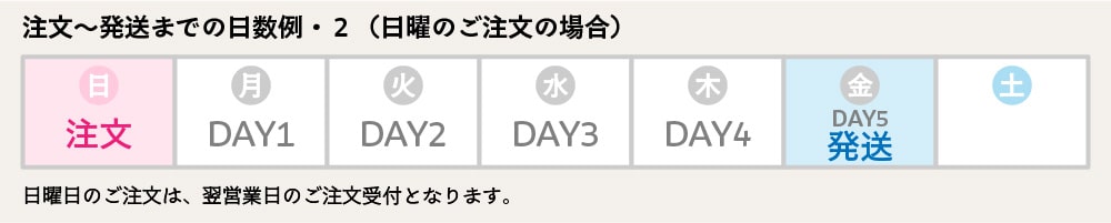 ��ʸ��ȯ���ޤǤ������㡦2�����ˤΤ���ʸ�ξ���