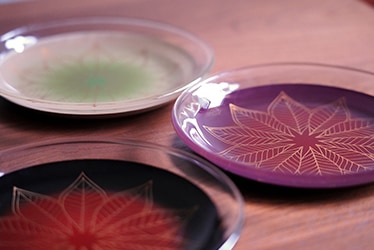 百色　葉輪(hawa)　お皿　三枚セット 百色 葉輪(hawa) お皿 三枚セット NAGANOマルシェセレクト｜長野県の特産