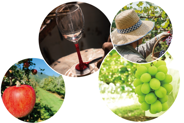 Feature 01�β���