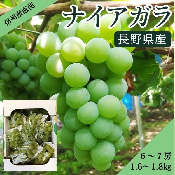 ���ʲ���