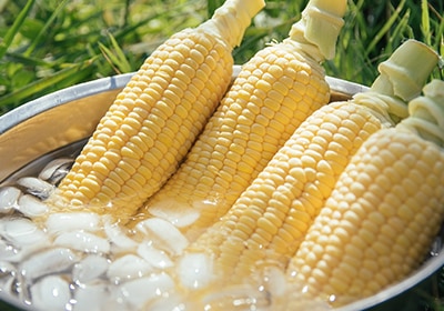 信州名品特集vol 4 野菜 Naganoマルシェ 長野県信州の食品 郷土食やお土産を