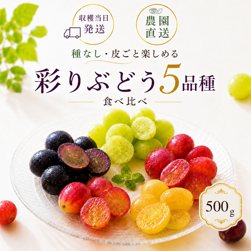 ���֡����֤ɤ� 5�ʼ�ͤ��碌 ��500g
