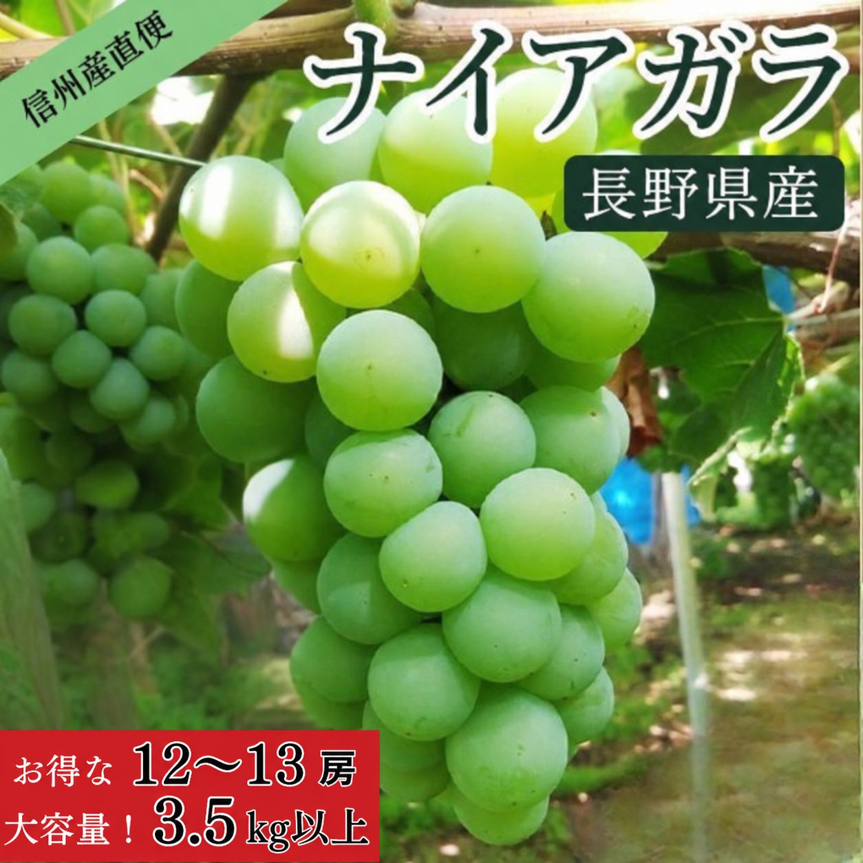 �ʥ������� 3.5kg�ʾ�
