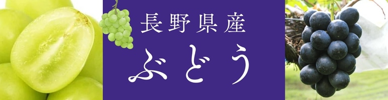 のび太長野県産市田柿170gＬサイズ30パック のび太長野県産市田柿170gLサイズ30パック 楽天市場】干し柿 市田