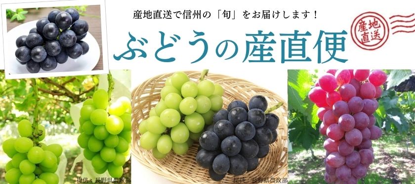 ぶどう