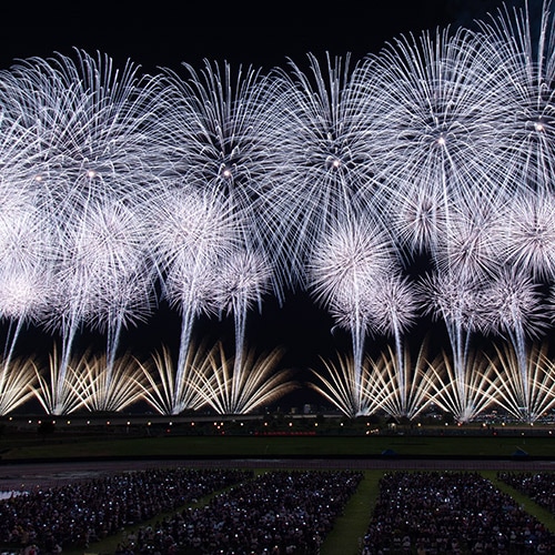 長岡花火 長岡まつり大花火大会バスツアー2026 | vipツアー(viptour)