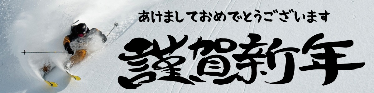 山スキービンディング DYNAFIT ディナフィット 25-26 ST ROTATION 10