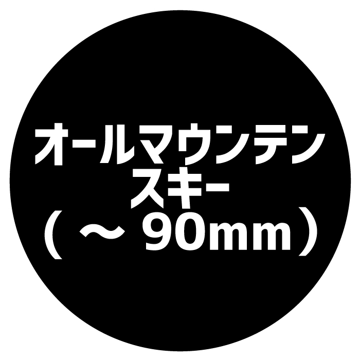 ビンディング マーカー 22-23 単品販売不可 COMP BLACK 金具 BDG X 12 MARKER コンプ12 GW