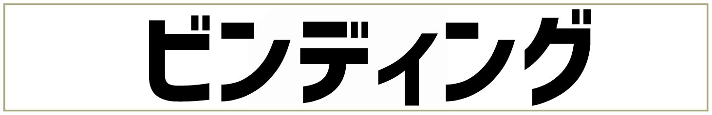 スキービンディング