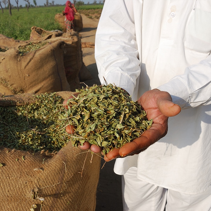 ヘナのパッチテストの重要性について