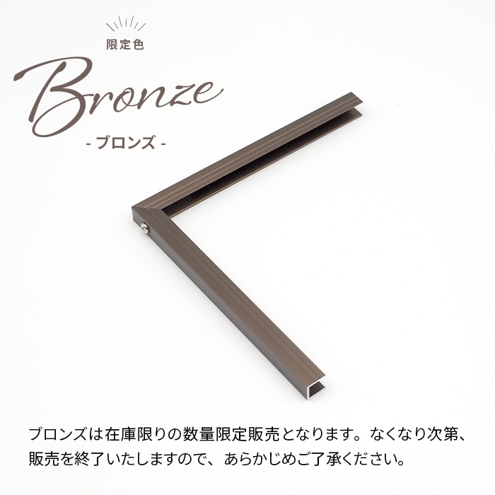 イレパネフレーム 特注サイズ 前面アクリル仕様（1mm厚） 【作品サイズ 