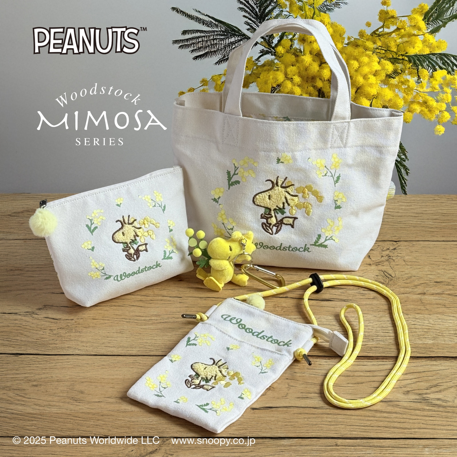 ウッドストック ミモザ