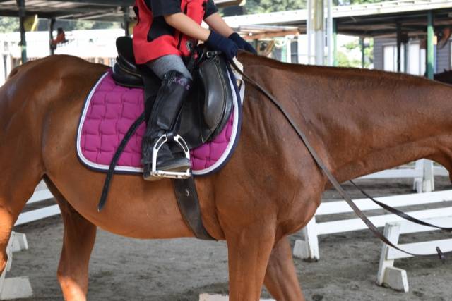 初心者向けの乗馬用品も充実！ウェア・鞭などジュニア用に必要な乗馬