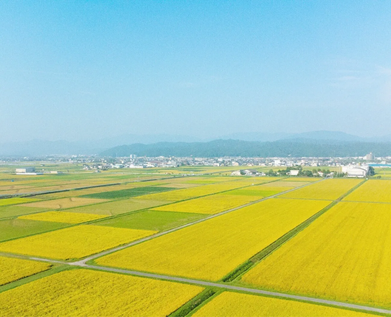 新田小学校