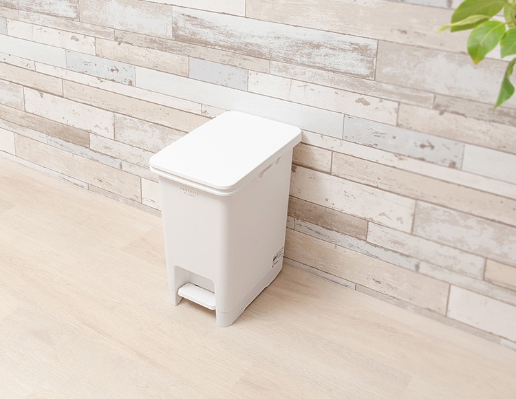 b1138_サムネ画像