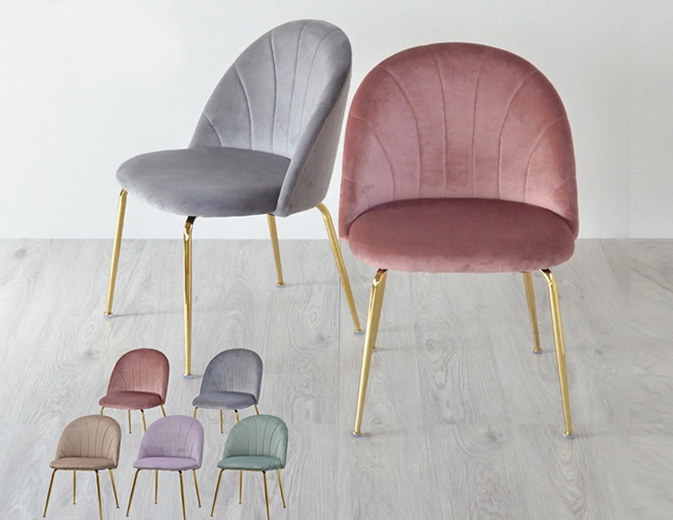 ondc-0048_サムネ画像