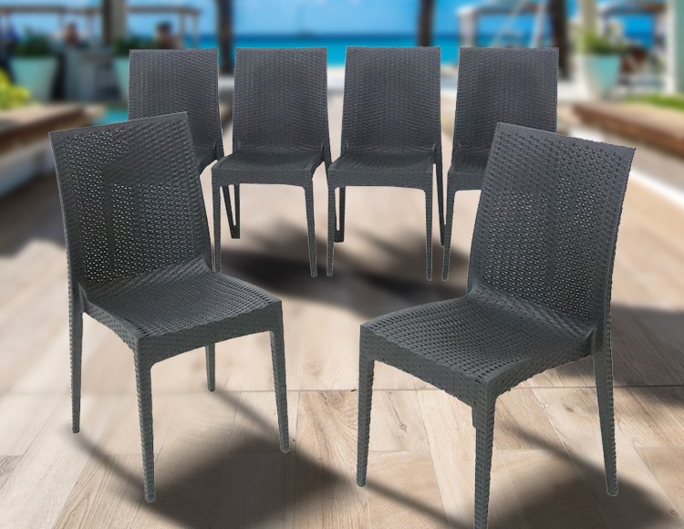 c359-6_サムネ画像