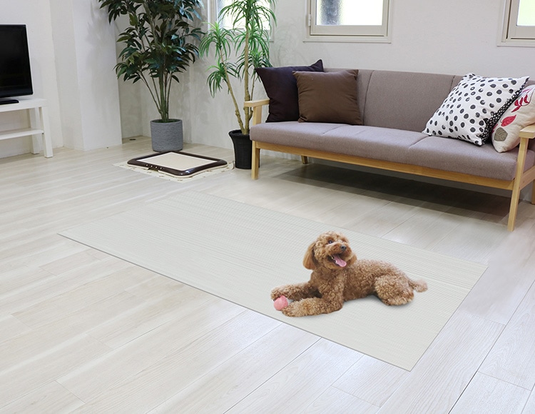 e076_サムネ画像