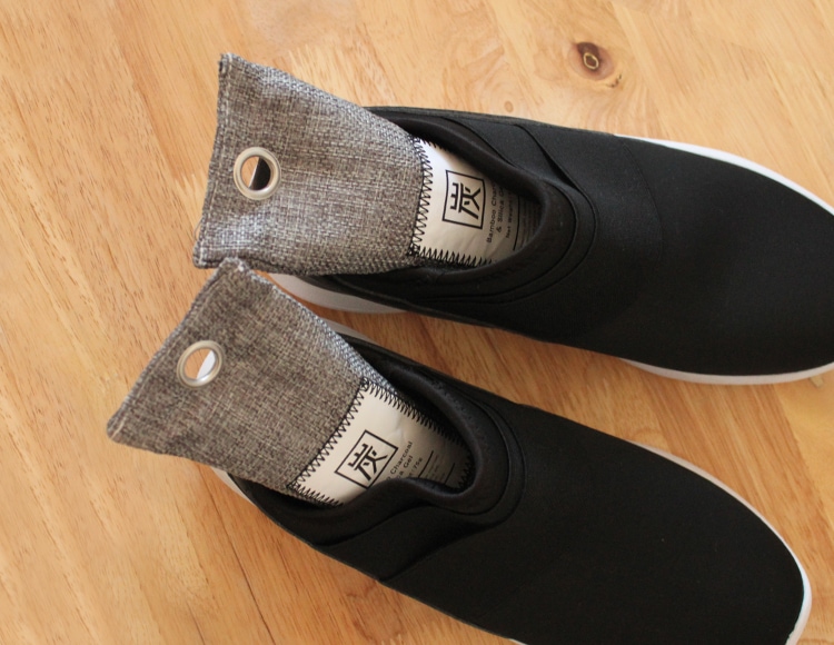 n241-2_サムネ画像