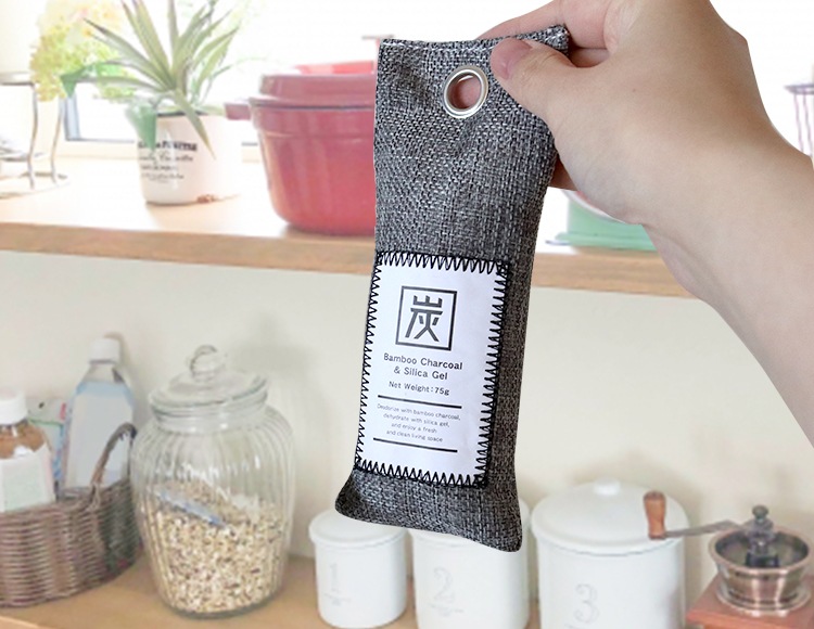 n241_サムネ画像