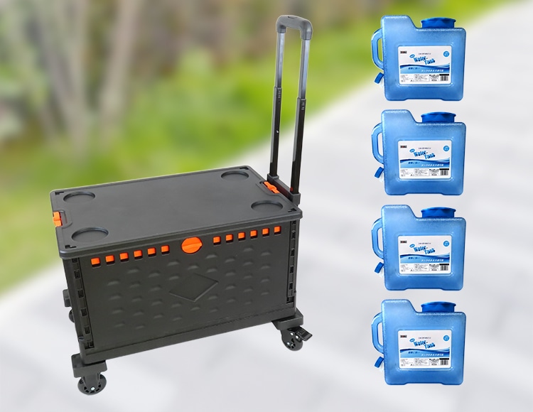 sf-002_サムネ画像