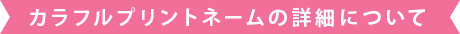カラフルプリントネームの詳細について