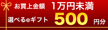 お買上1万円未満選べるeギフト500円分