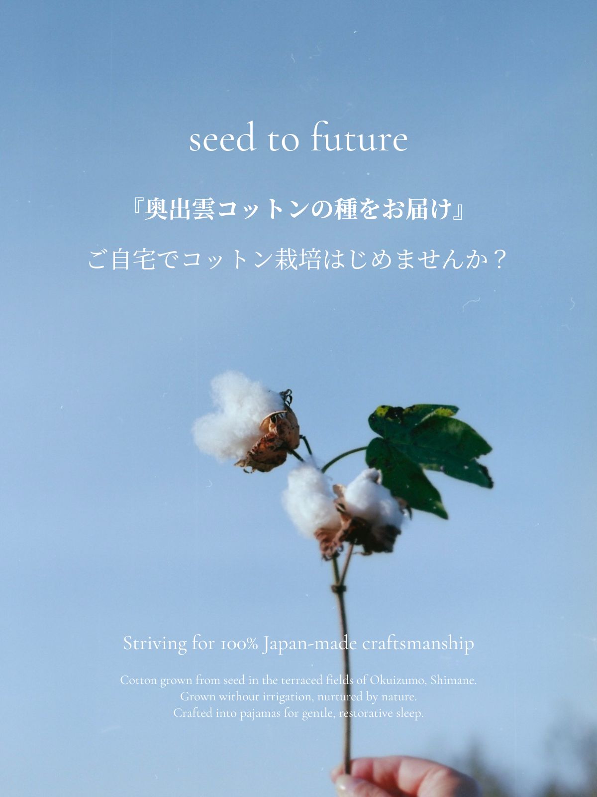 スペシャルライン