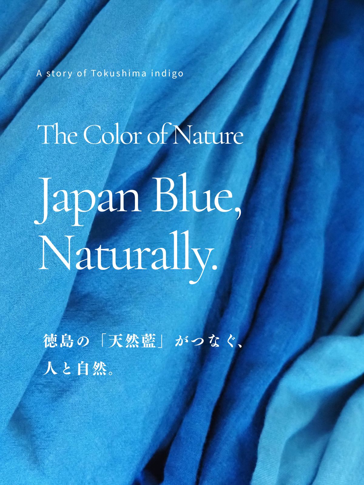 メイン写真