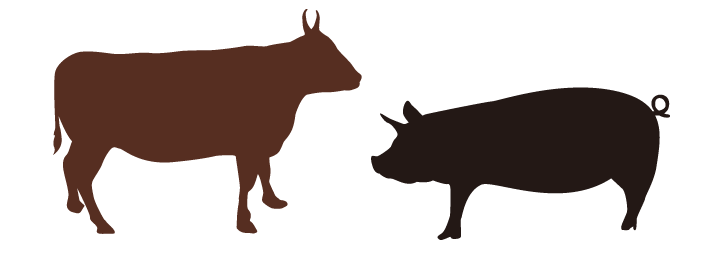 牛と豚