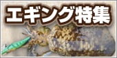エギング特集