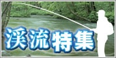 渓流特集