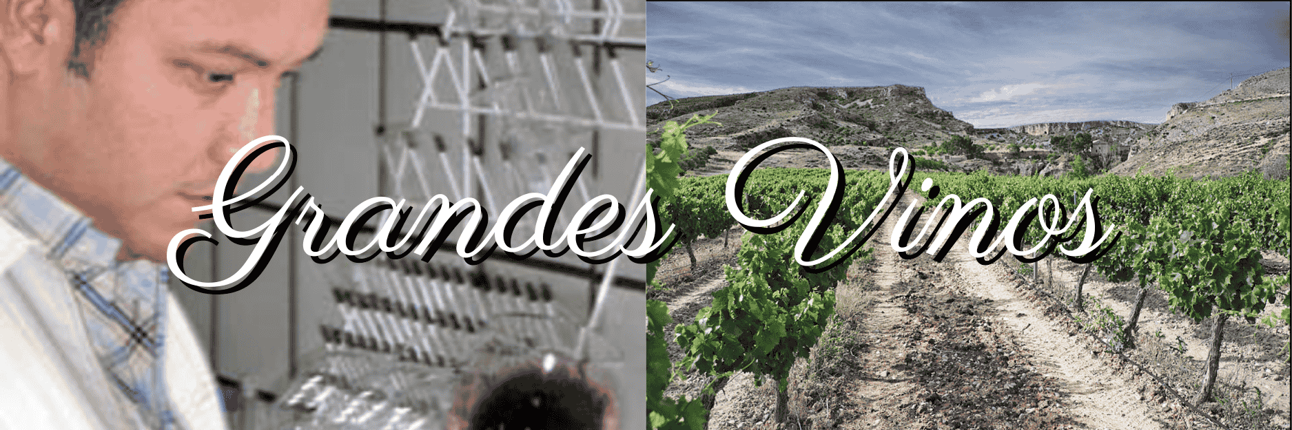 グランデス・ビノス（Grandes Vinos）