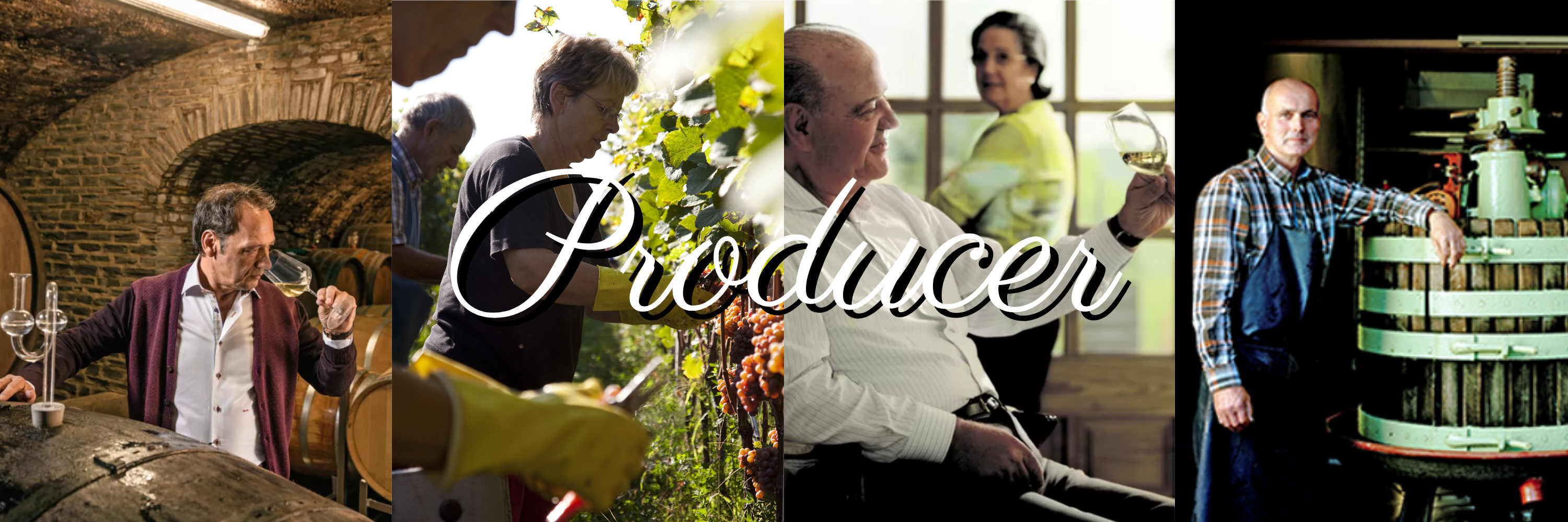 生産者から探す