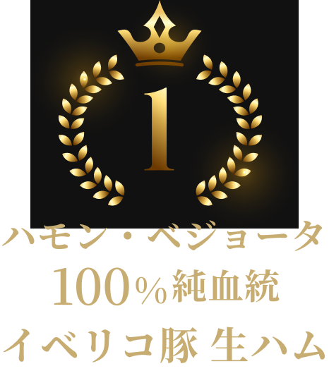 ハモン・ベジョータ 100%純血統 イベリコ豚 生ハム