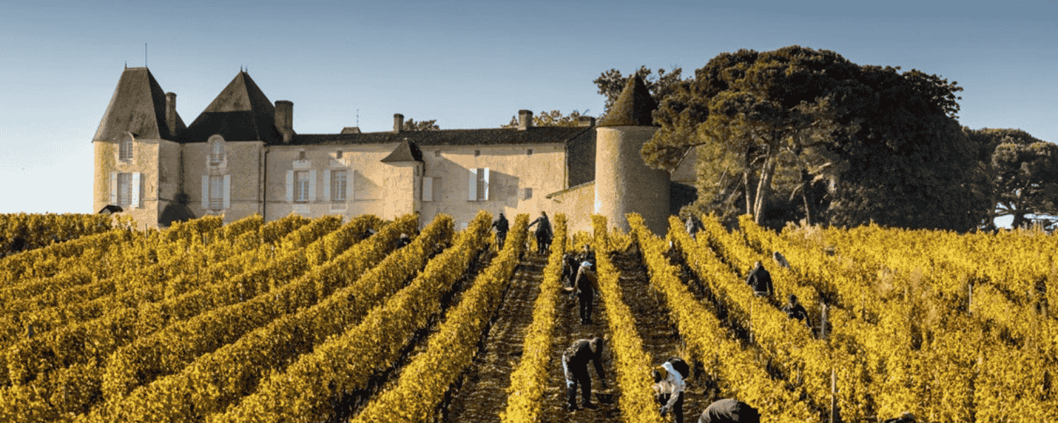 貴腐ワインとは？｜HOSPITALITY WINE｜ワイン＆おつまみ 専門通販
