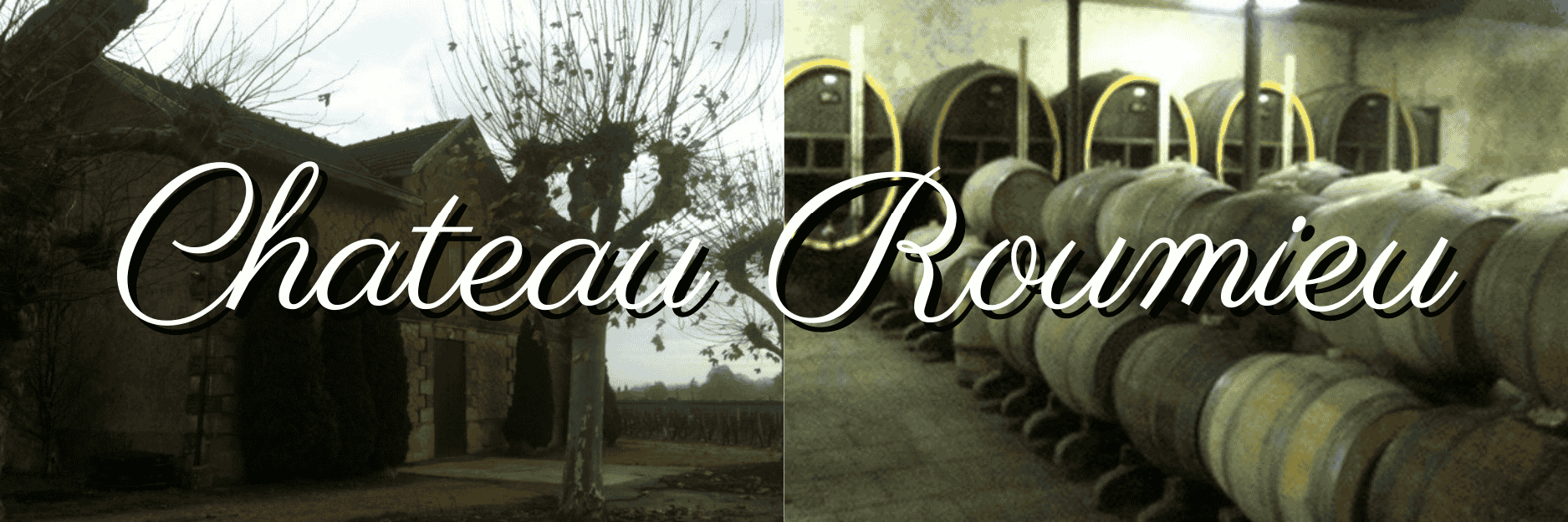 生産者から探す,シャトー・ルーミュー(Chateau Roumieu)|HOSPITALITY WINE|あらゆる場面に寄り添うワイン専門通販