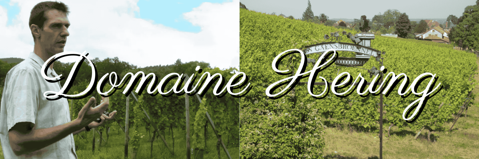 ドメーヌ・ヘリング（Domaine Hering）