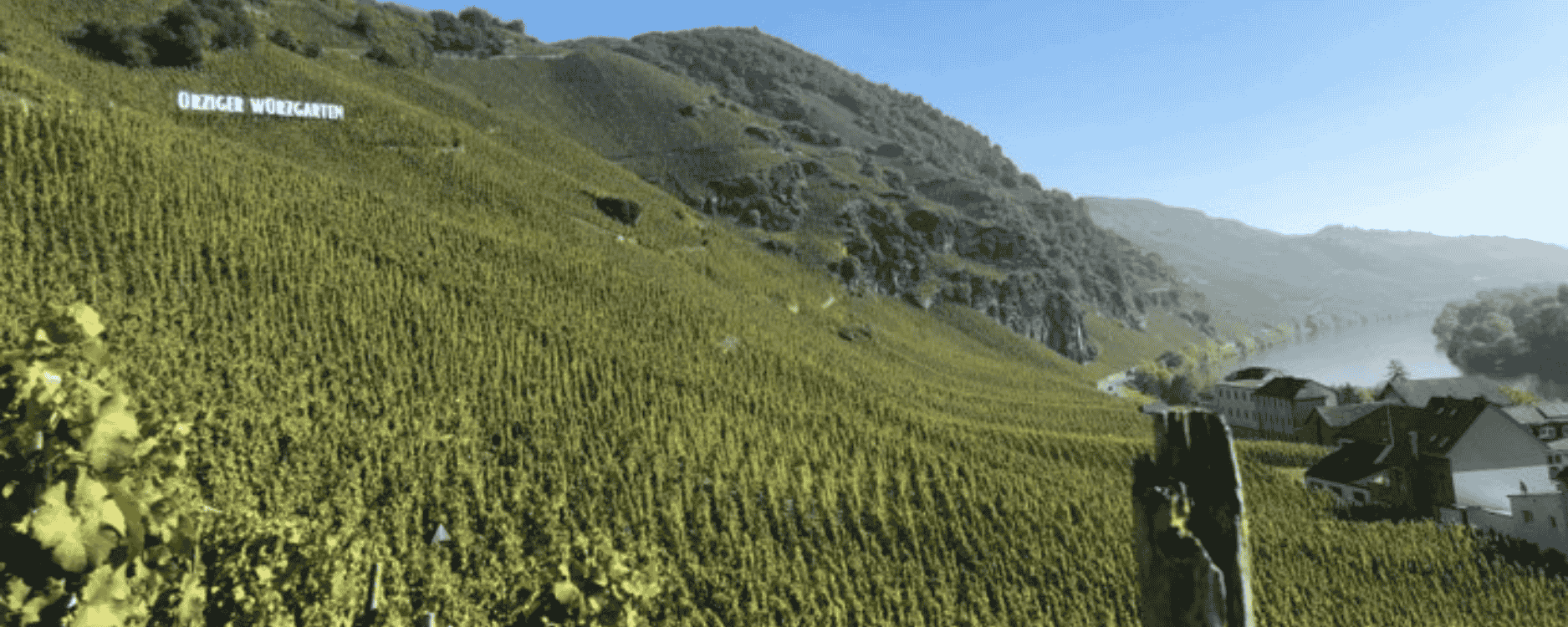 マーカス・モリトール「100点の名声を超えて──極まる唯一無二の