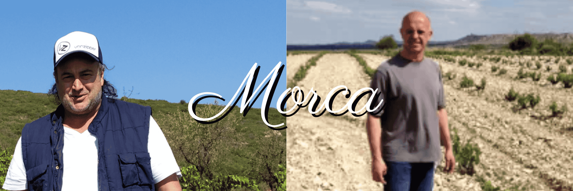 モルカ（Morca）