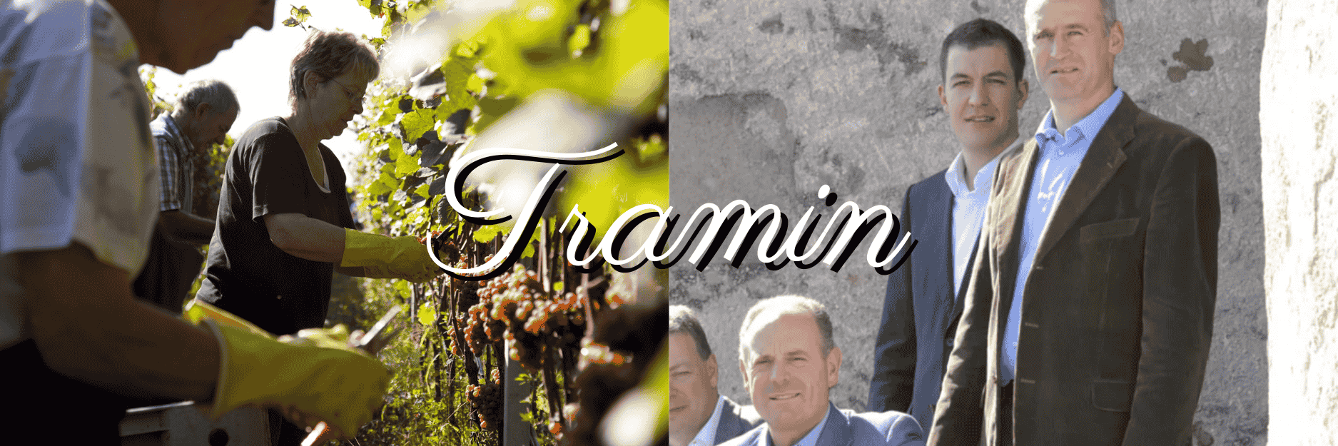 トラミン（Tramin）