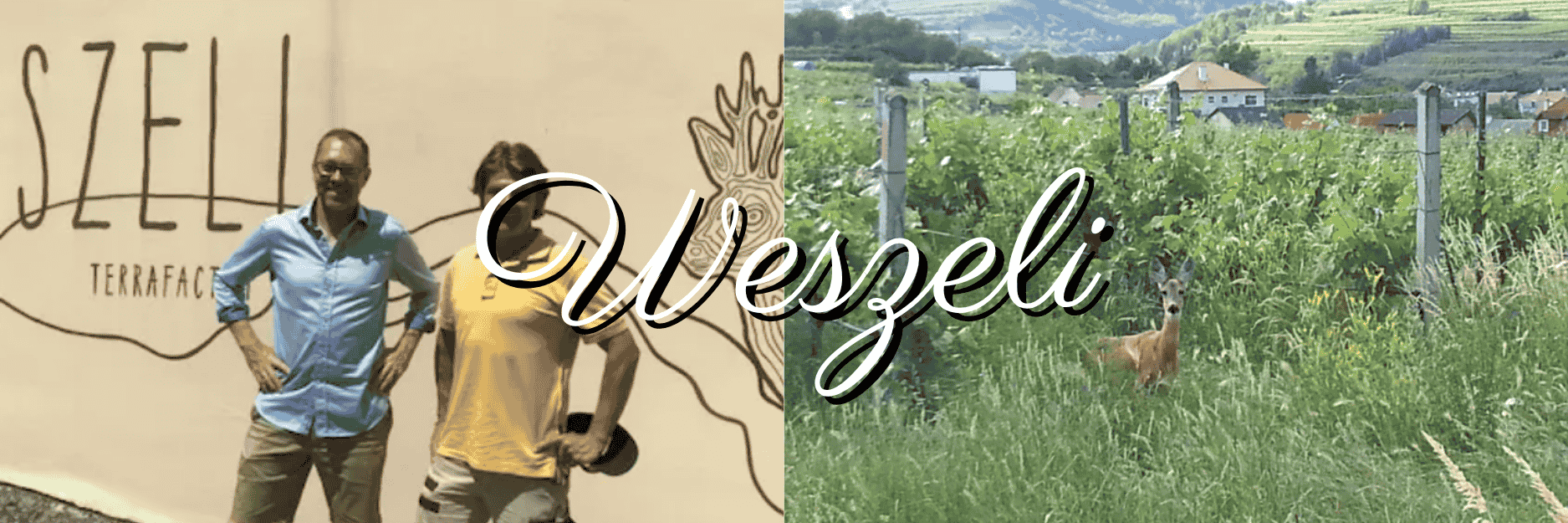 ヴェスリ（Weszeli）