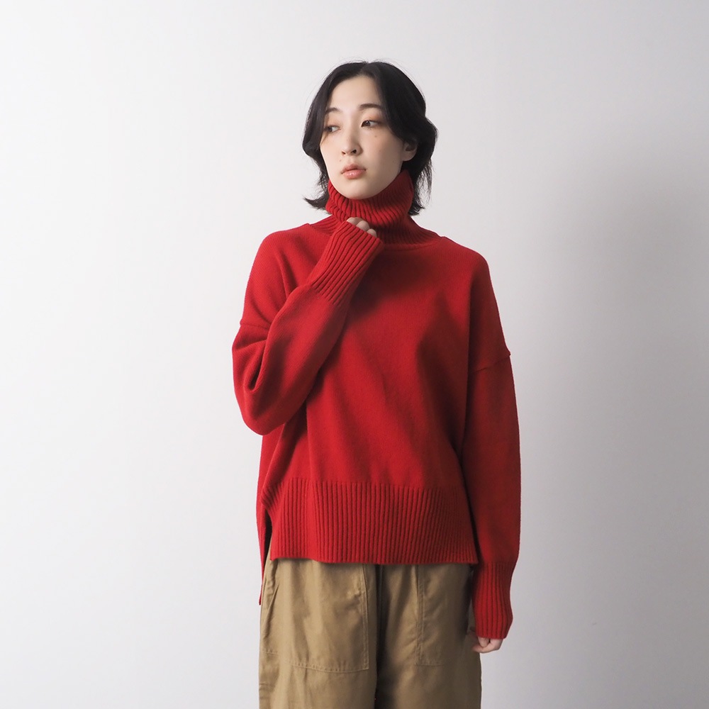 ニウエ・タートル (ゴールド＋ルテニウム) シルバープルーフ ニウエ・タートルコイン (ゴールド＋ルテニウム) シルバープルーフ