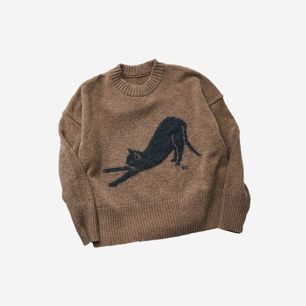 エアーヤーンコットン 伸び猫コモドニット ニットを着た女性の正面