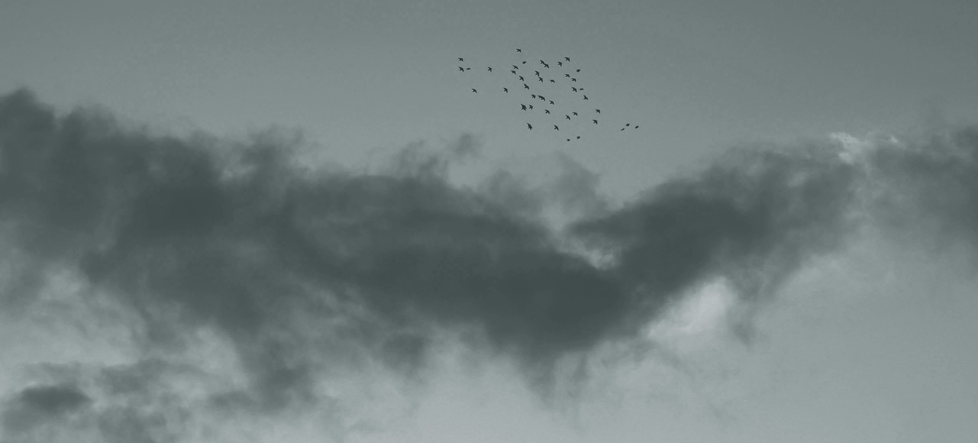 2025 秋冬コレクション