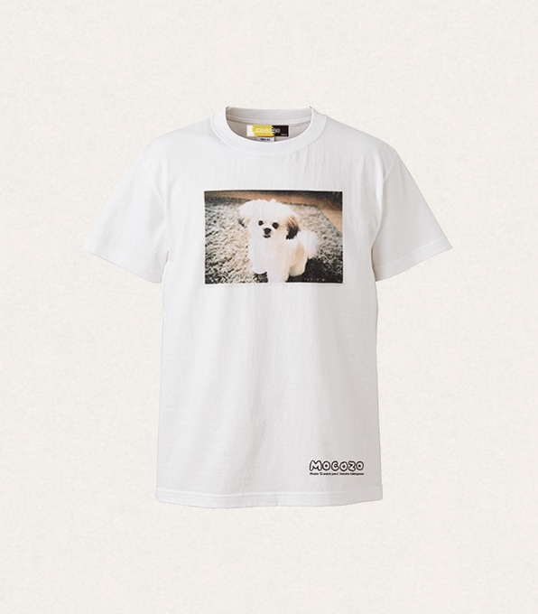 モコゾウ ヤンガオ ロンT Sサイズ mocozo 2026年最新モコゾウ tシャツ